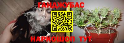 ECSTASY Можга